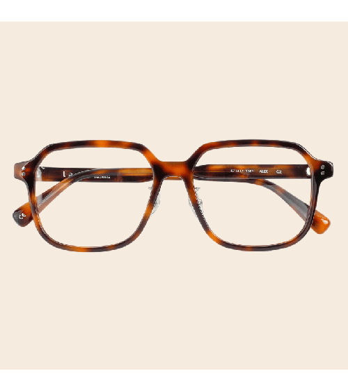 Premium Korean Oversized Square Acetate Frames Lash Alex | McCray Eyewear Canada