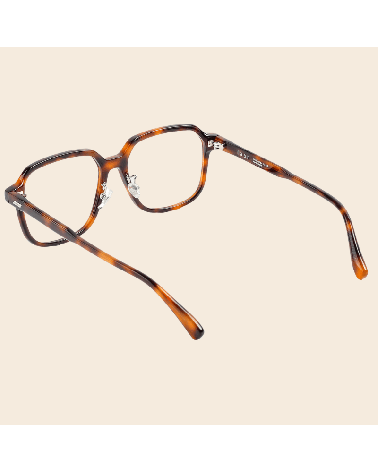 Premium Korean Oversized Square Acetate Frames Lash Alex | McCray Eyewear Canada