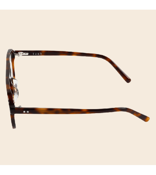 Premium Korean Double Bridge Acetate Frames Lash Steven | McCray Eyewear Canada