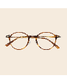 Tokyo Tortoise